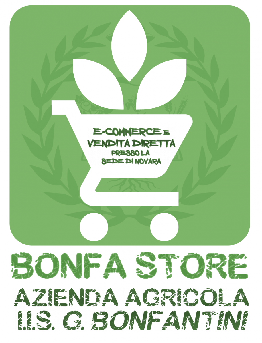Bonfa Store